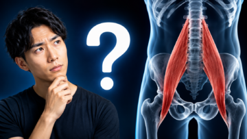 腸腰筋が弱いとお腹が出る？デスクワークで縮む筋肉と骨盤の関係